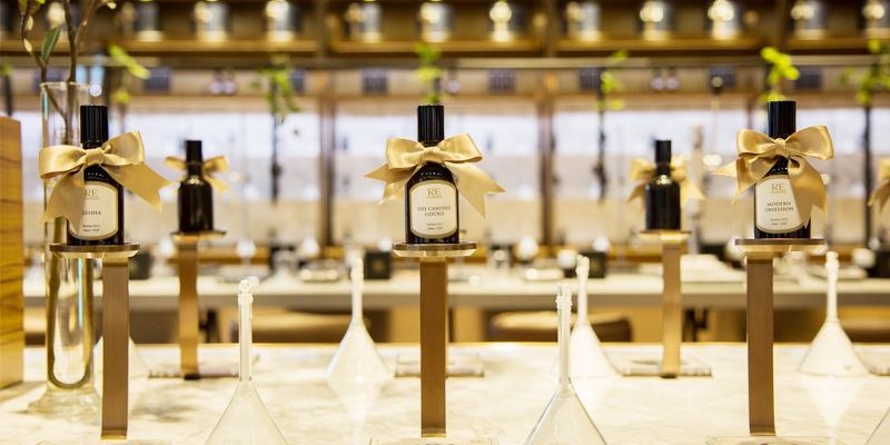 瀏陽市柏加鎮(zhèn)雙玉苗圃,瀏陽培植綠化小苗,瀏陽種植綠化工程苗木,苗木培育點