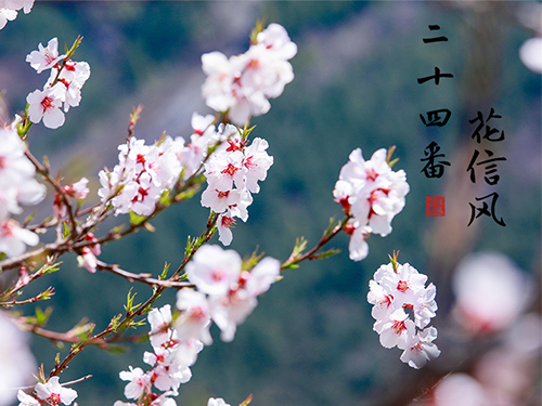 芝蘭空間,香氛系統(tǒng),空間香氛,香薰設(shè)備,香薰精油,香氛禮品定制