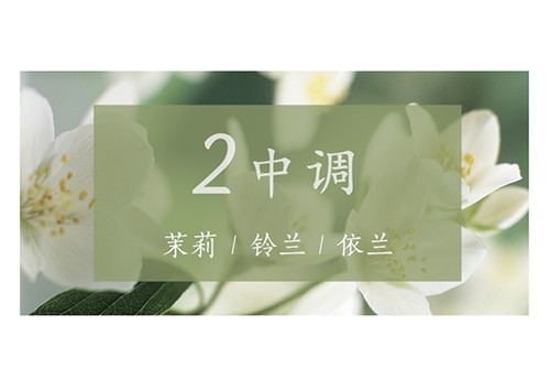 芝蘭空間,香氛系統(tǒng),空間香氛,香薰設備,香薰精油,香氛禮品定制