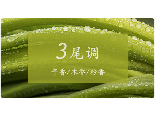 芝蘭空間,香氛系統(tǒng),空間香氛,香薰設備,香薰精油,香氛禮品定制