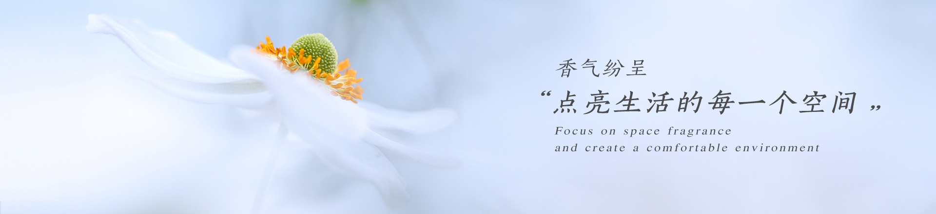 湖南芝蘭空間環(huán)保科技有限公司—空間香氛|凈化空間|擴(kuò)香設(shè)備|香氛精油|香氛禮品定制