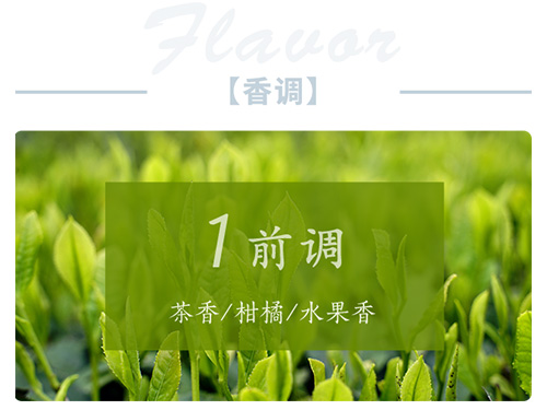 芝蘭空間,香氛系統(tǒng),空間香氛,香薰設(shè)備,香薰精油,香氛禮品定制