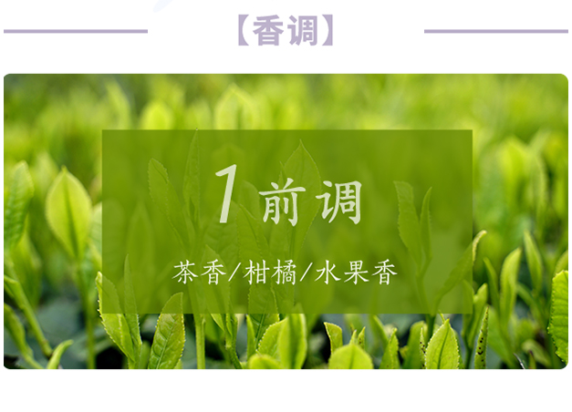芝蘭空間,香氛系統(tǒng),空間香氛,香薰設(shè)備,香薰精油,香氛禮品定制
