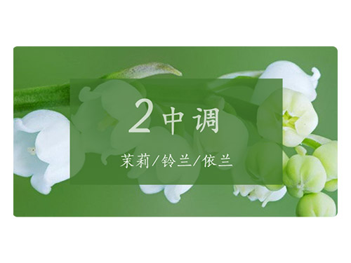 芝蘭空間,香氛系統(tǒng),空間香氛,香薰設(shè)備,香薰精油,香氛禮品定制